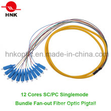 12 Cores Sc PC Singlemode Bundle Fan-out Fibre Optique Pigtail